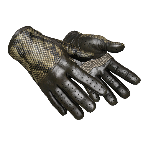 ★ Driver Gloves | Diamondback (Well-Worn)