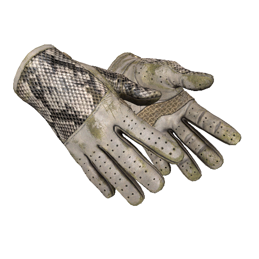 ★ Driver Gloves | King Snake (Battle-Scarred)