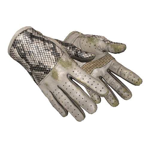 ★ Driver Gloves | King Snake (Field-Tested)