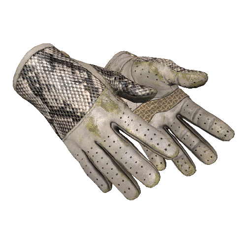 ★ Driver Gloves | King Snake (Well-Worn)