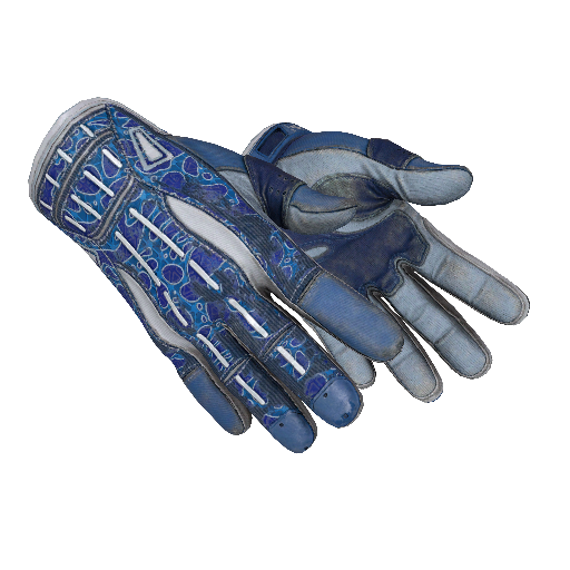 ★ Sport Gloves | Amphibious (Field-Tested)
