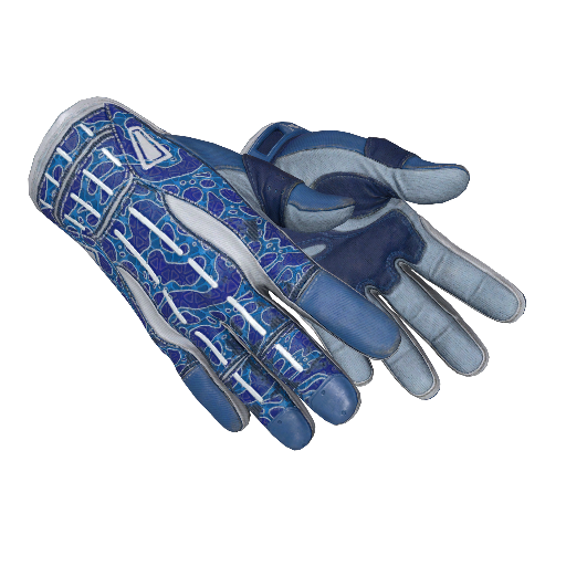 ★ Sport Gloves | Amphibious (Minimal Wear)