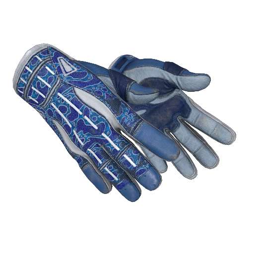 ★ Sport Gloves | Amphibious (Minimal Wear)