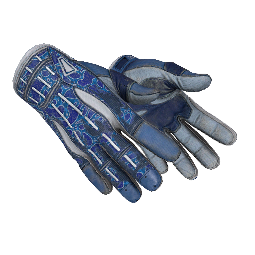 ★ Sport Gloves | Amphibious (Well-Worn)