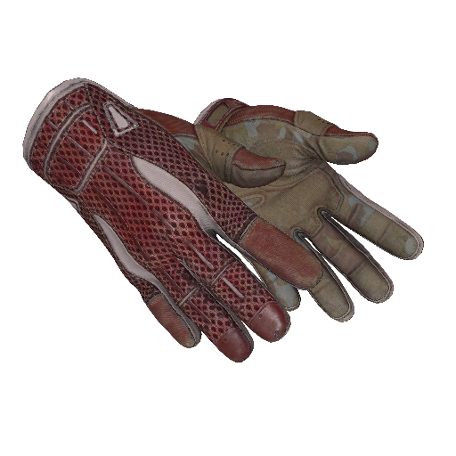 ★ Sport Gloves | Slingshot (Field-Tested)