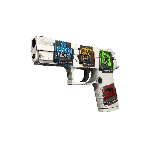 P250 | Whiteout (Minimal Wear)