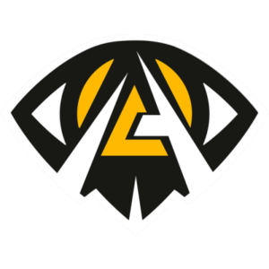 Anonymo esports team logo