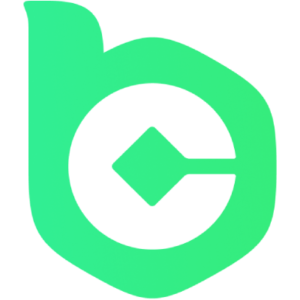 BC.Game esports team logo