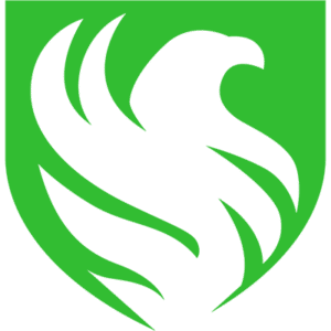 Falcons Force esports team logo