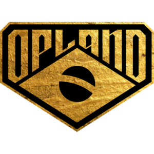 O PLANO esports team logo