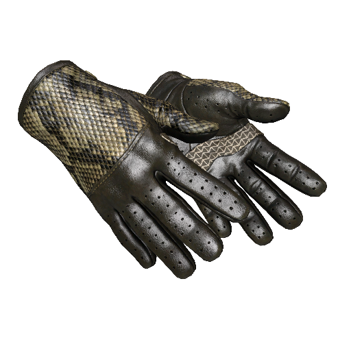 ★ Driver Gloves | Diamondback (Well-Worn)