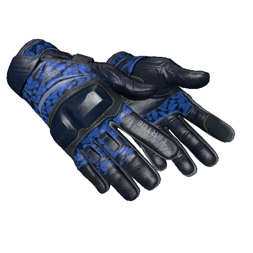 ★ Moto Gloves | Polygon (Field-Tested)