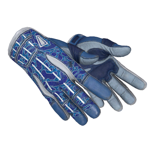 ★ Sport Gloves | Amphibious (Well-Worn)