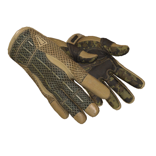 ★ Sport Gloves | Arid (Field-Tested)