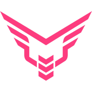 Take Flyte esports team logo