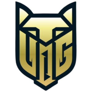 V1dar Gaming esports team logo