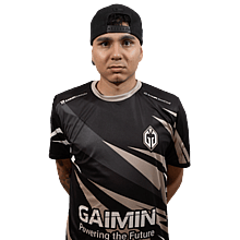 HEN1